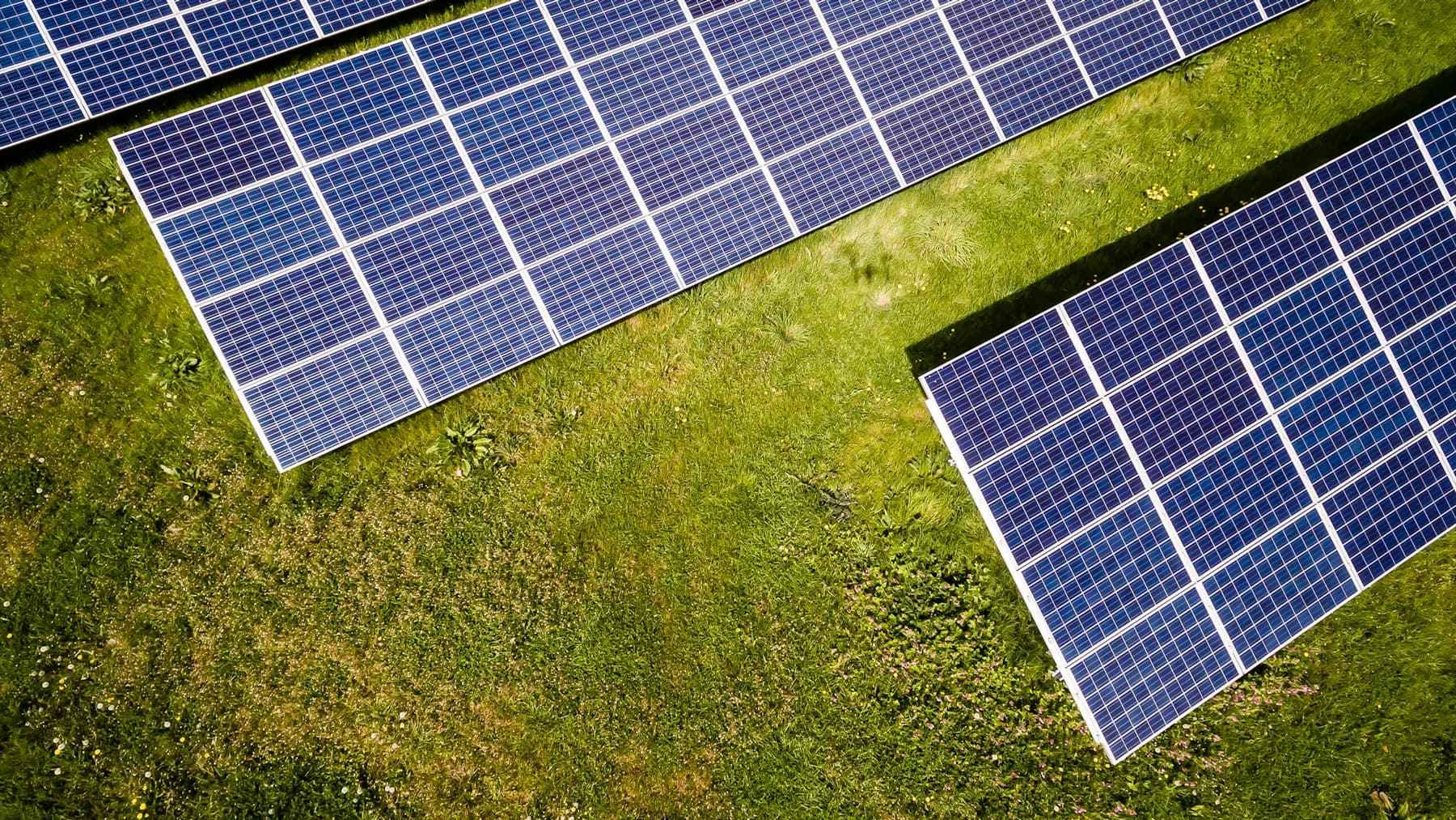 Long rows of solar panels photographed from directly above