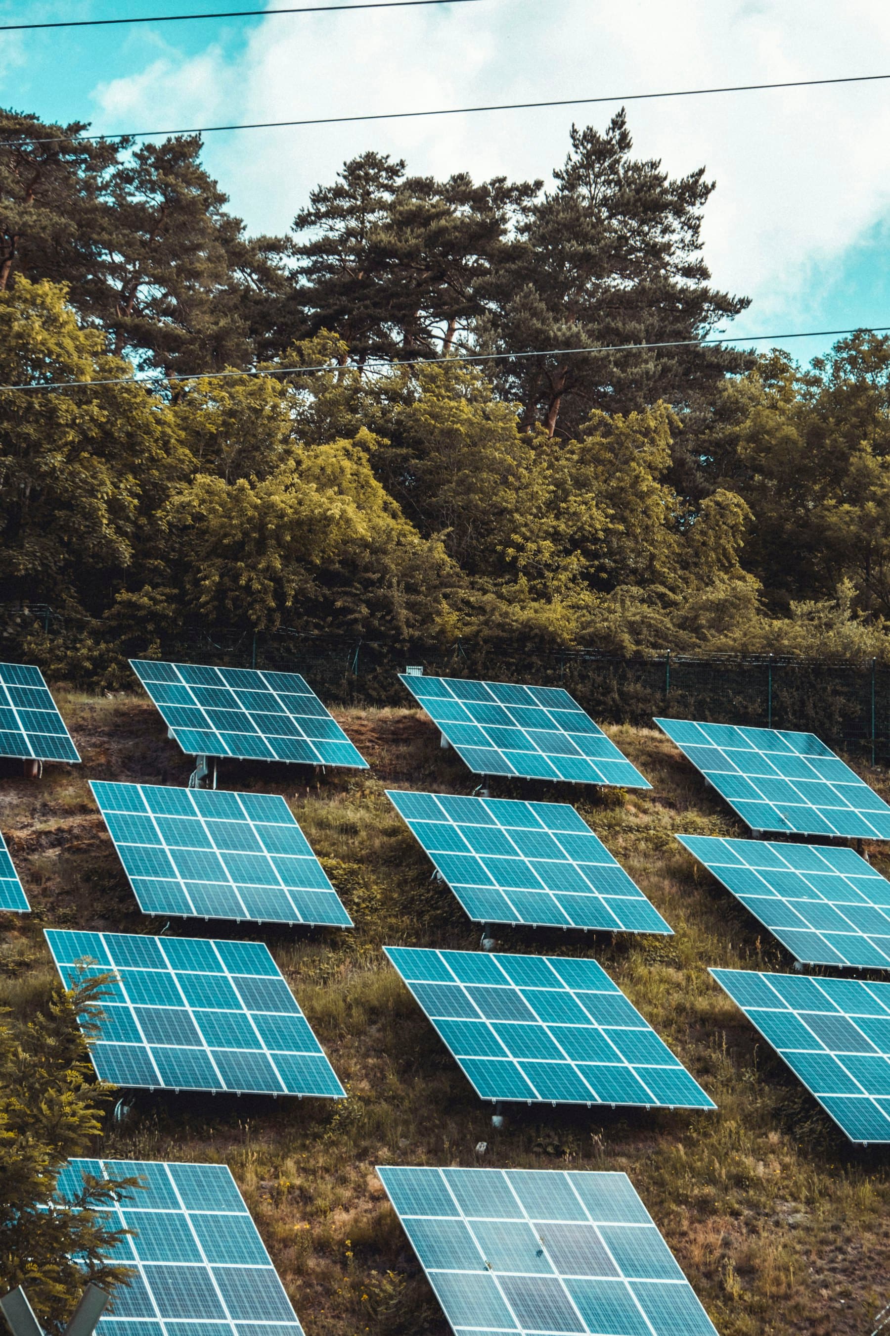 Rows of solar module tables set out across open ground